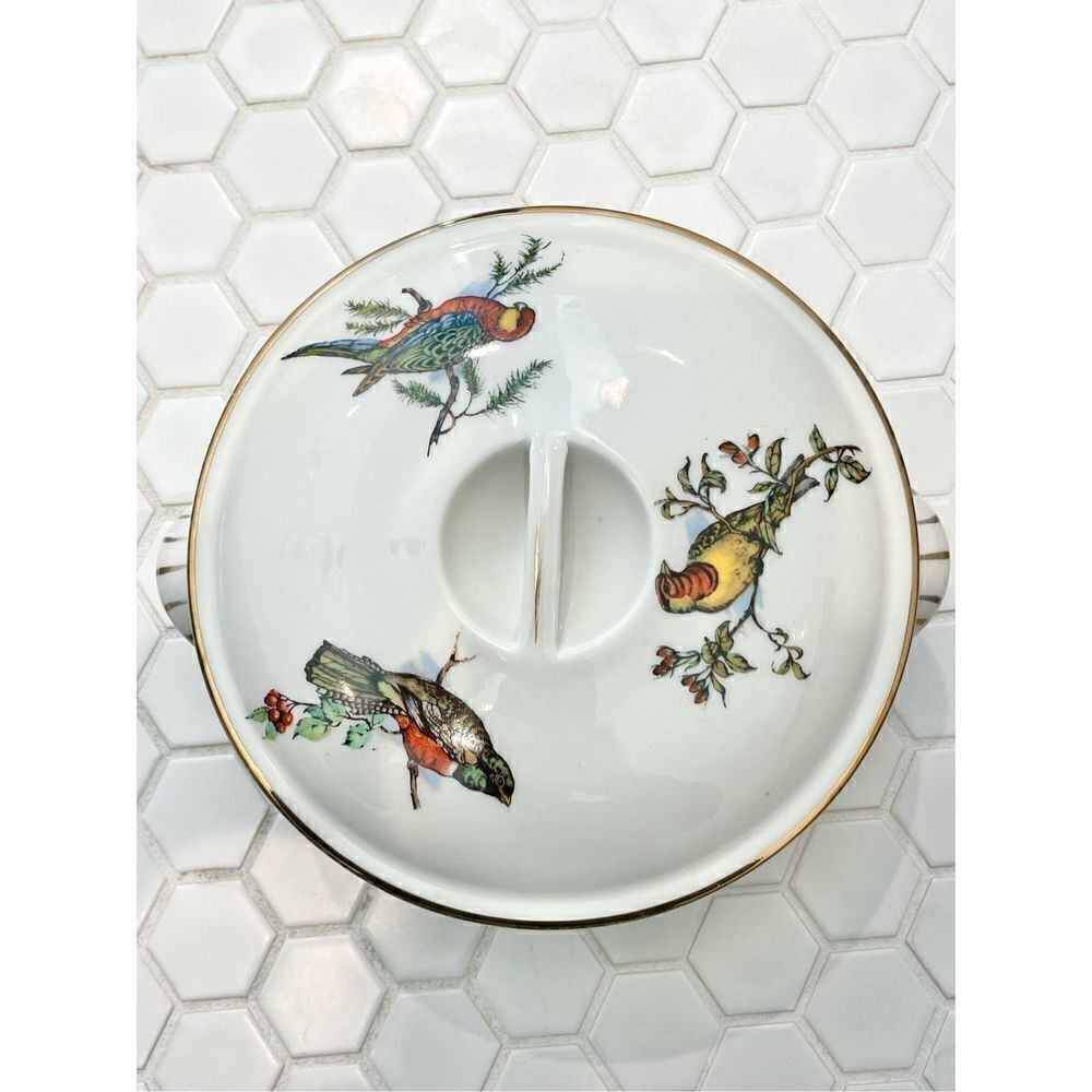Rare Vintage Pillivuyt France Covered Tureen | Exotic Birds Porcelain - Picture 2 of 12